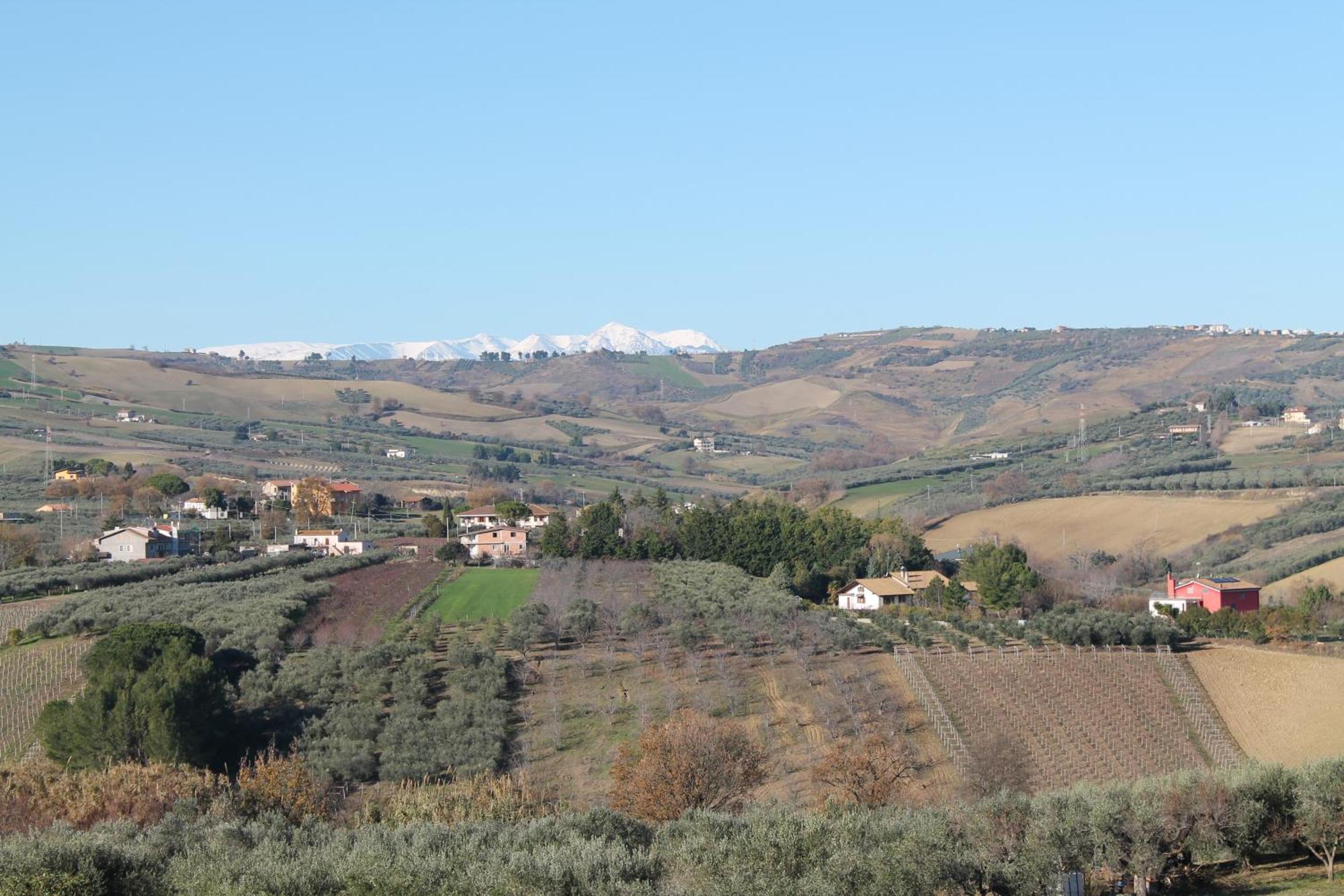 Colline Del Sole Bed & Breakfast ซานซัลโว ภายนอก รูปภาพ